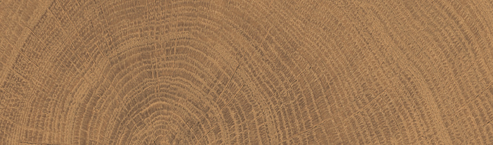 ENJA WCI WALNUT 053X300 (1 сорт)