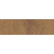 Керамограніт Emil Ceramica (Provenza) W-Circles Enja Wci Walnut 5,3х30 см, фото 3