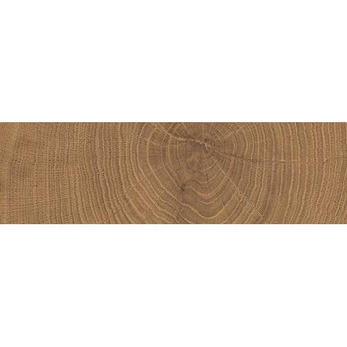 Керамограніт Emil Ceramica (Provenza) W-Circles Enja Wci Walnut 5,3х30 см, фото 3
