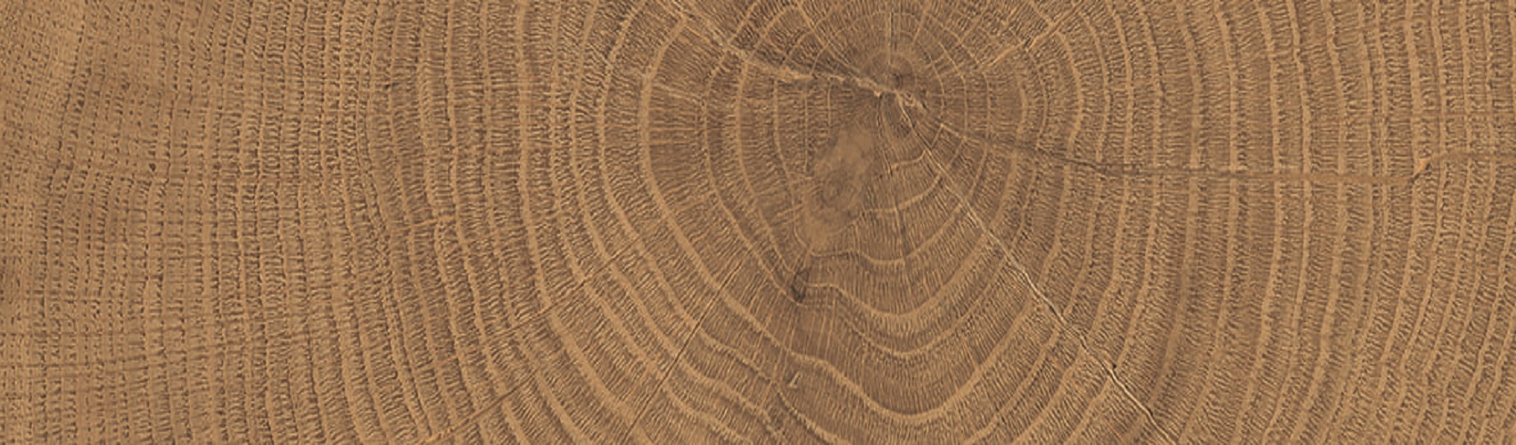 ENJA WCI WALNUT 053X300 (1 сорт)
