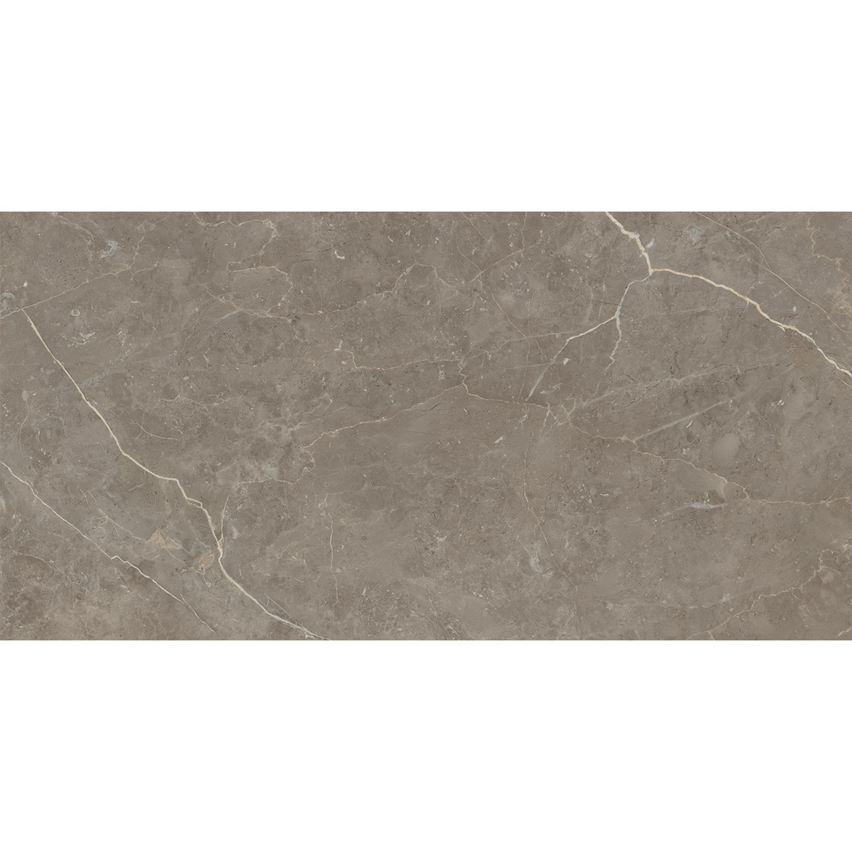 60x120(n) G.MESSA GREIGE (1 сорт)