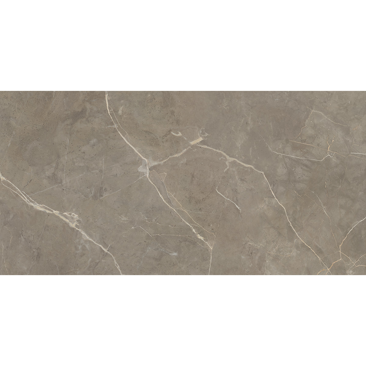 60x120(n) G.MESSA GREIGE (1 сорт)