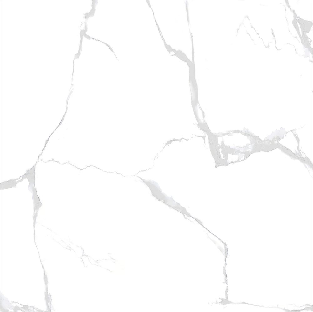 10TB036 TALITA (1 сорт)