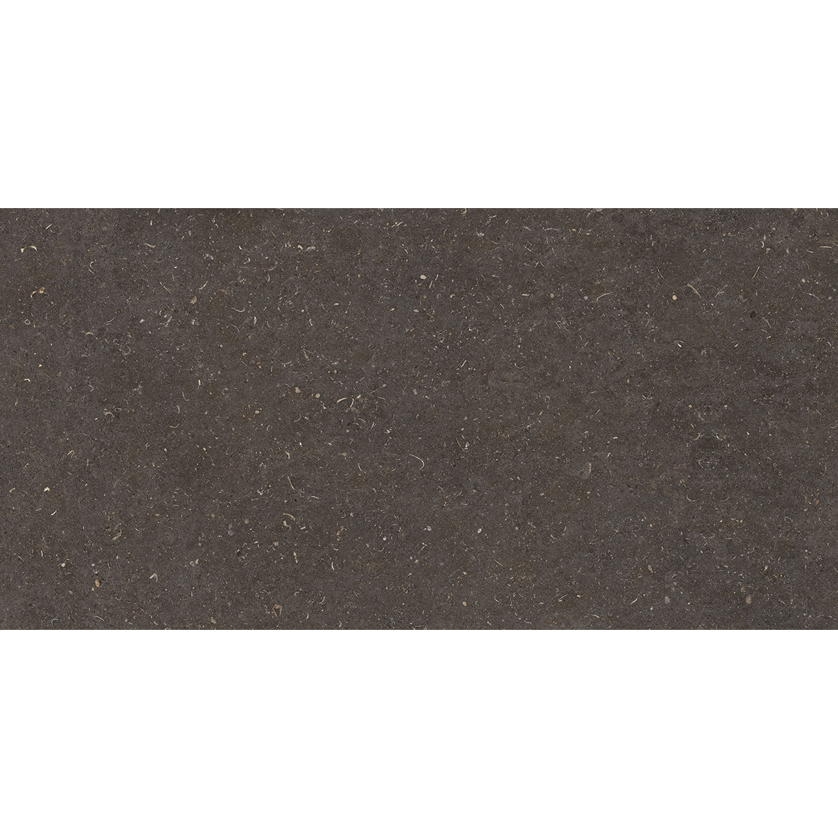 60X120(T)C G.VINCEN ANTHRACITE (1 сорт)