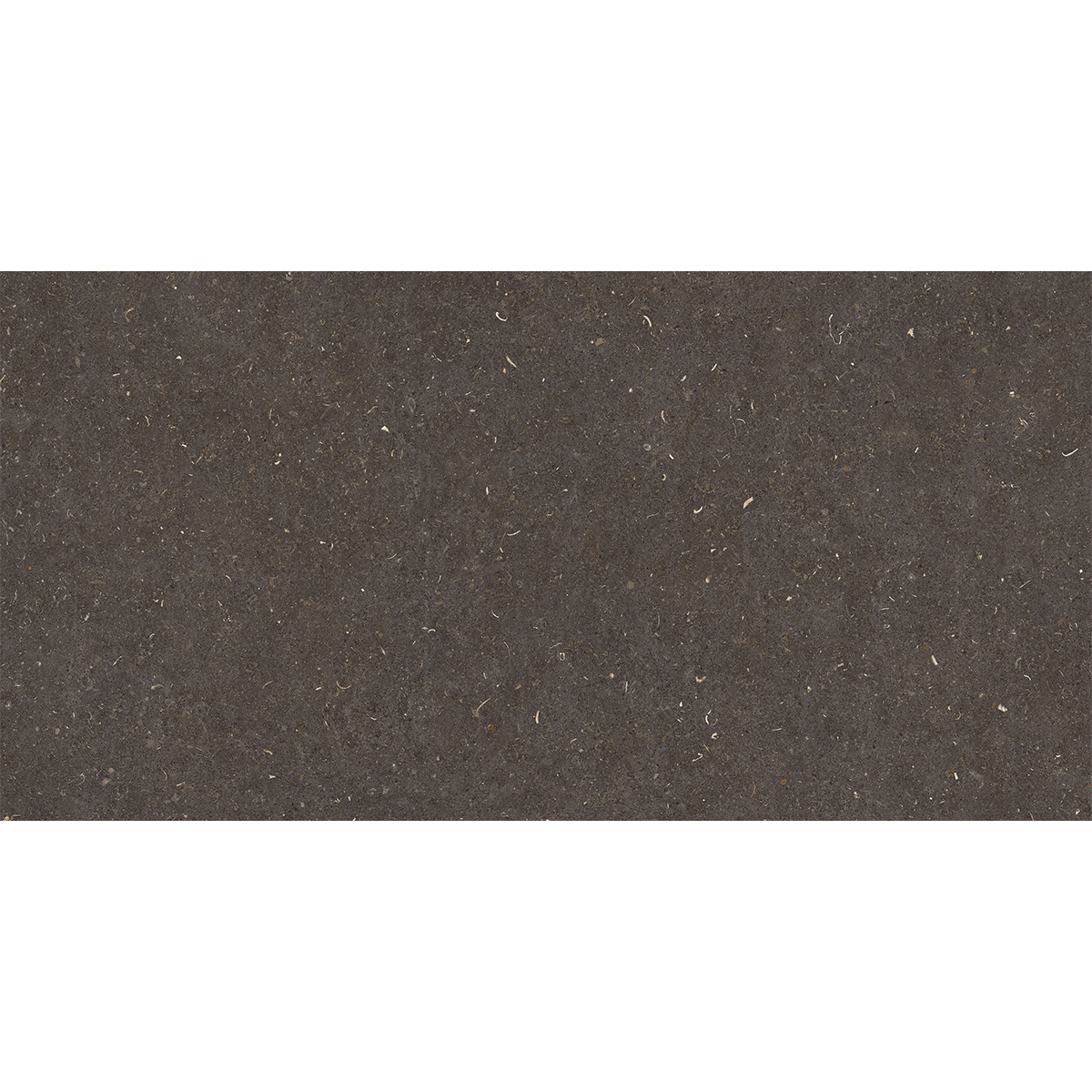 60X120(T)C G.VINCEN ANTHRACITE (1 сорт)