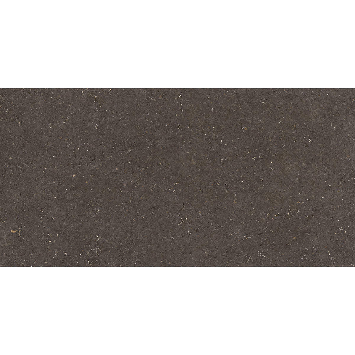 60X120(T)C G.VINCEN ANTHRACITE (1 сорт)