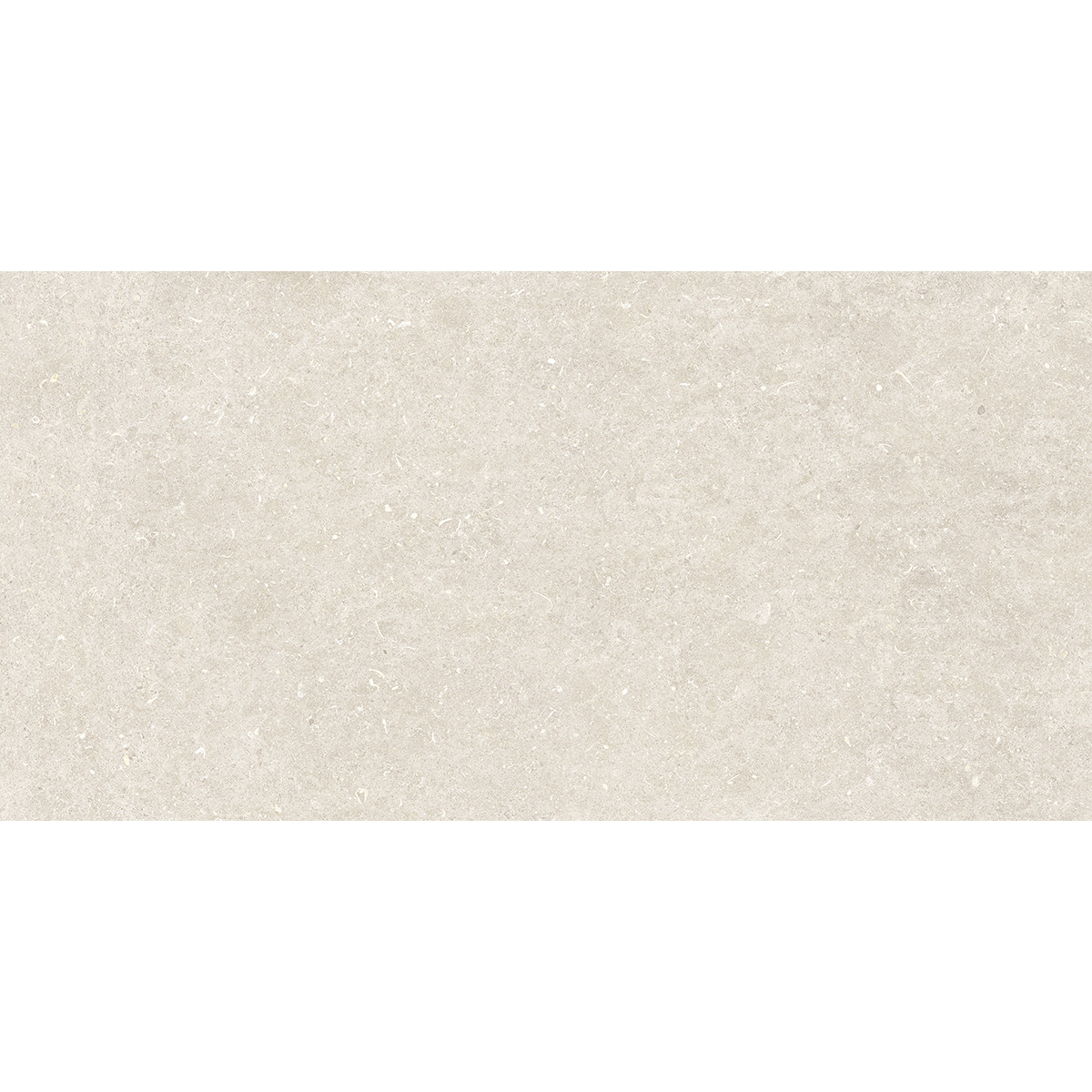 60X120(T)C G.VINCEN WHITE (1 сорт)