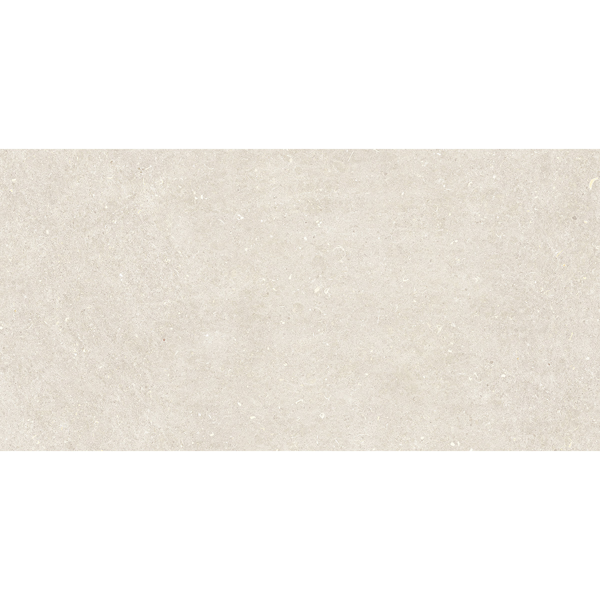 60X120(T)C G.VINCEN WHITE (1 сорт)