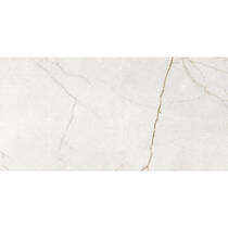 Керамограніт Argenta Raffaello Ivory Silk Rc 60X120 см, фото №2