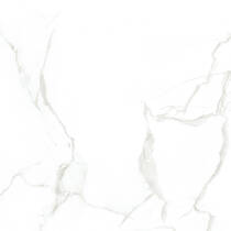 Керамограніт Ceramica Deseo CE6Y025PA AMARETTO 60x60 см, фото №2