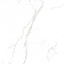 Керамограніт Ceramica Deseo CE6Y025PA AMARETTO 60x60 см, фото №5