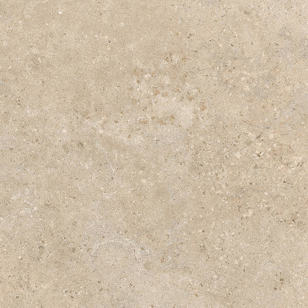 100x100 ALBA STONE GREIGE ### — фото 2