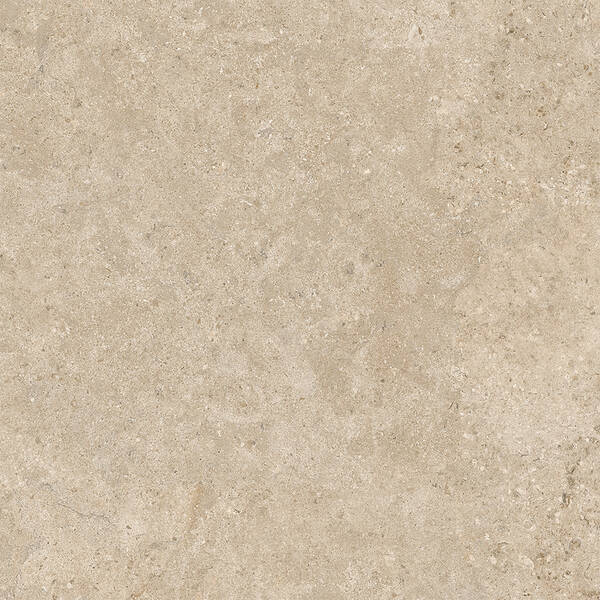 100x100 ALBA STONE GREIGE ### — фото 7