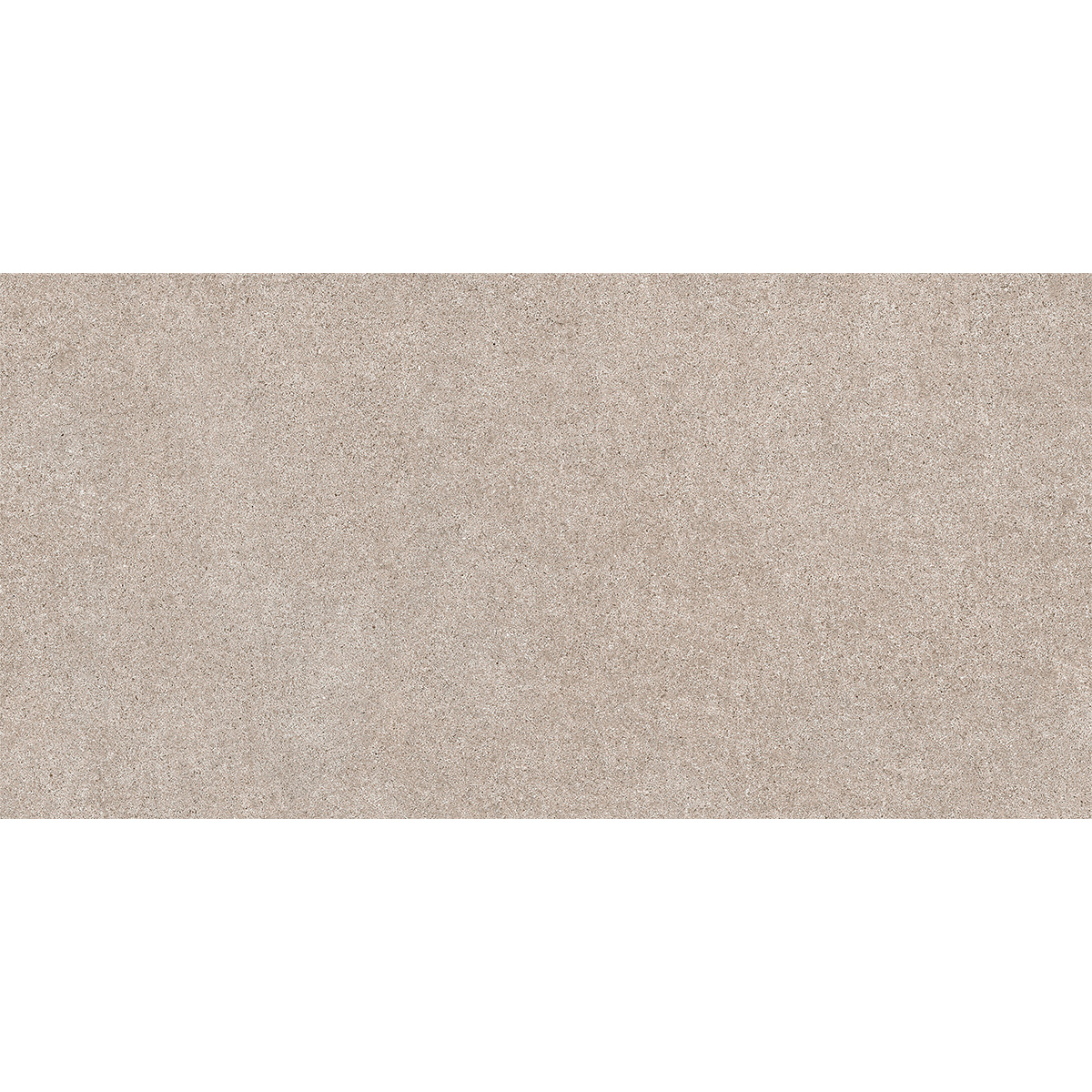 60X120(T)C CORE TAUPE (1 сорт)