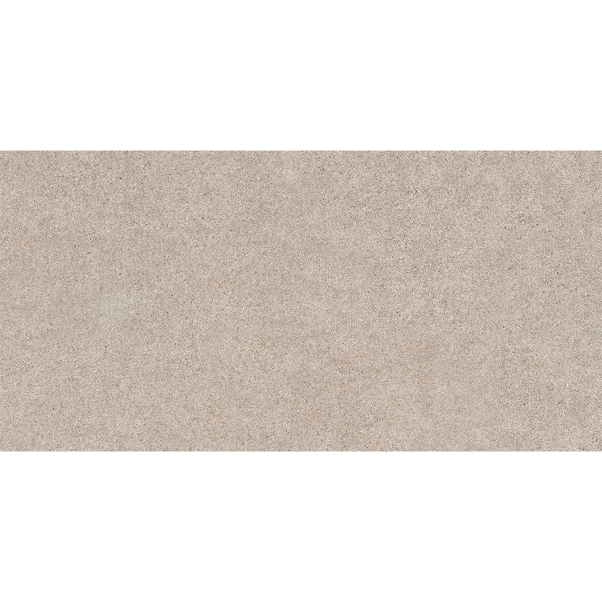 60X120(T)C CORE TAUPE (1 сорт)