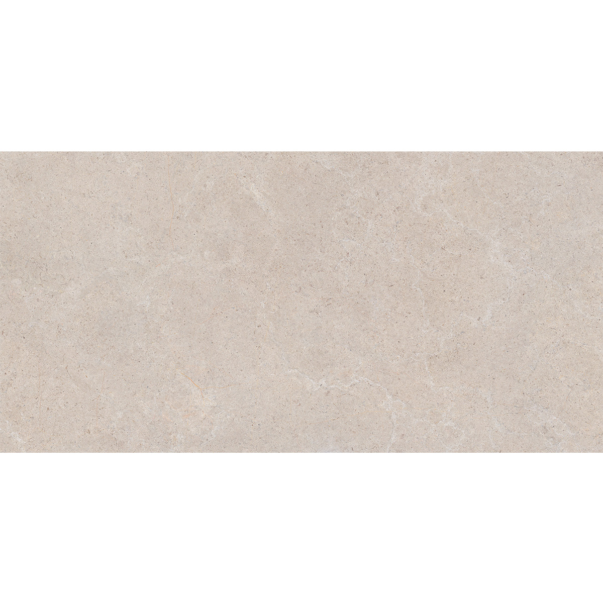 60X120(T)C DUNE TAUPE (1 сорт)