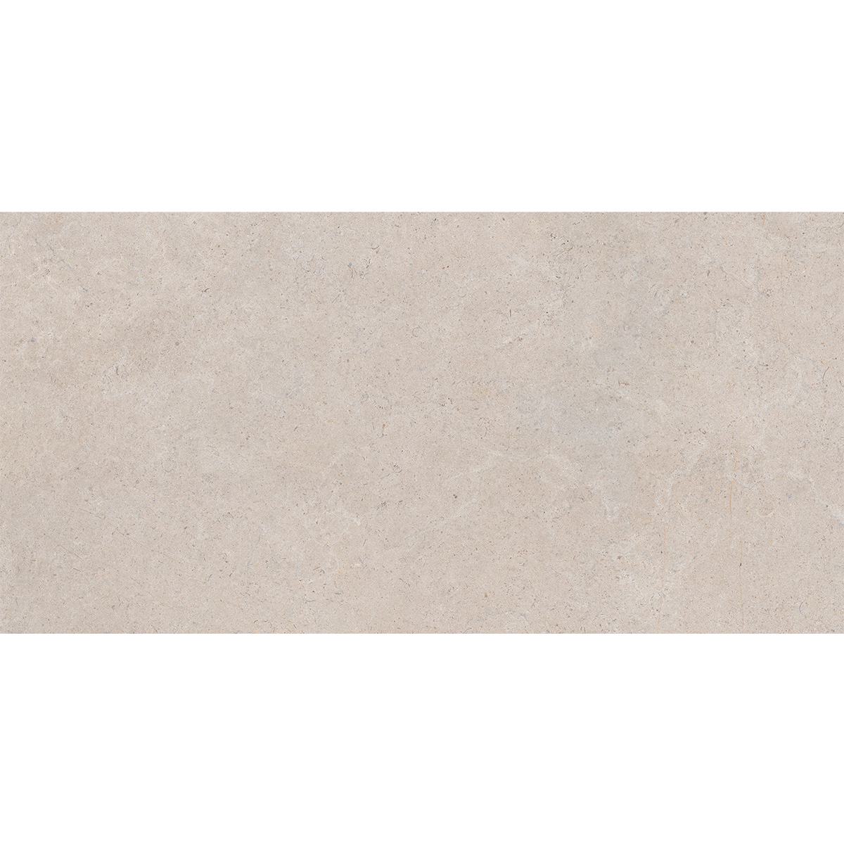 60X120(T)C DUNE TAUPE (1 сорт)