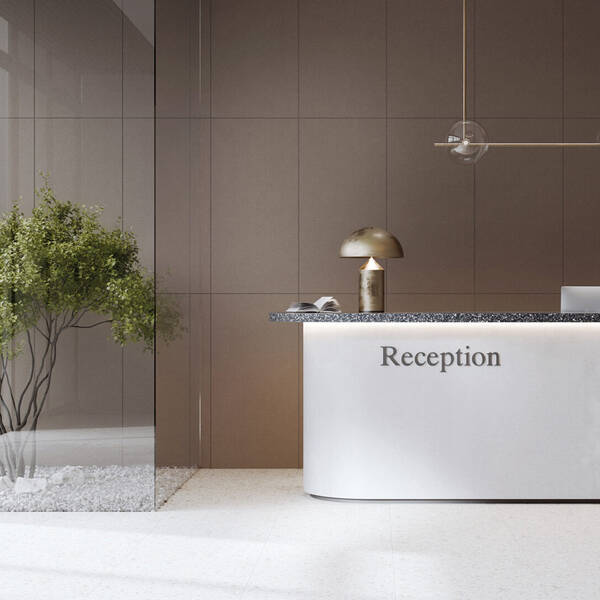 GRES MONOLIGHT EXTERIOR BROWN (MX07) RECT. — фото 3