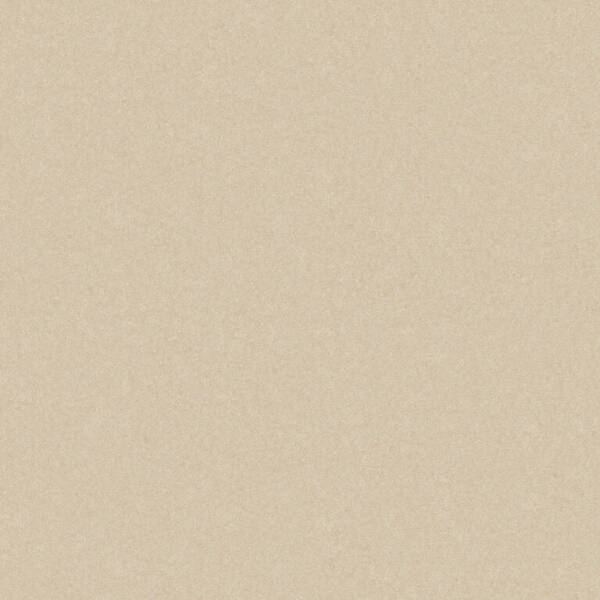 GRES MONOLIGHT EXTERIOR BEIGE (MX03) RECT. — фото 2