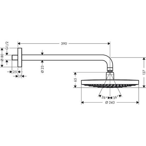 Верхній душ Hansgrohe Raindance Select 26466000, фото 2