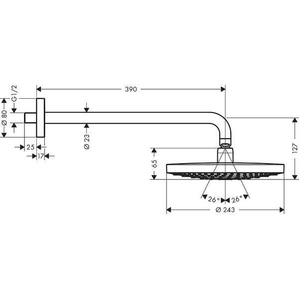 Верхній душ Hansgrohe Raindance Select 26466000, фото 2