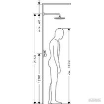 Верхний душ Hansgrohe Raindance Select S 27378000, фото №2