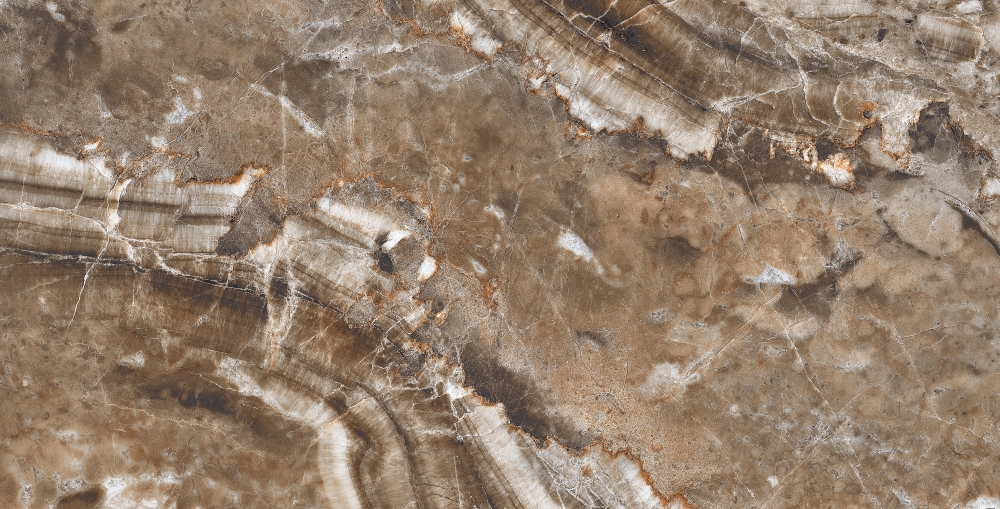 QORTECIA BROWN HG POL (1 сорт)