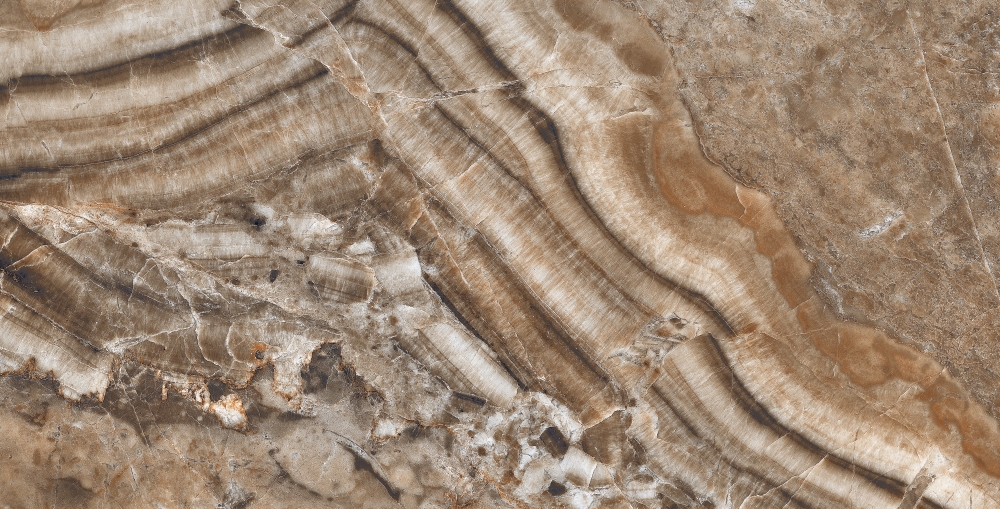 QORTECIA BROWN HG POL (1 сорт)