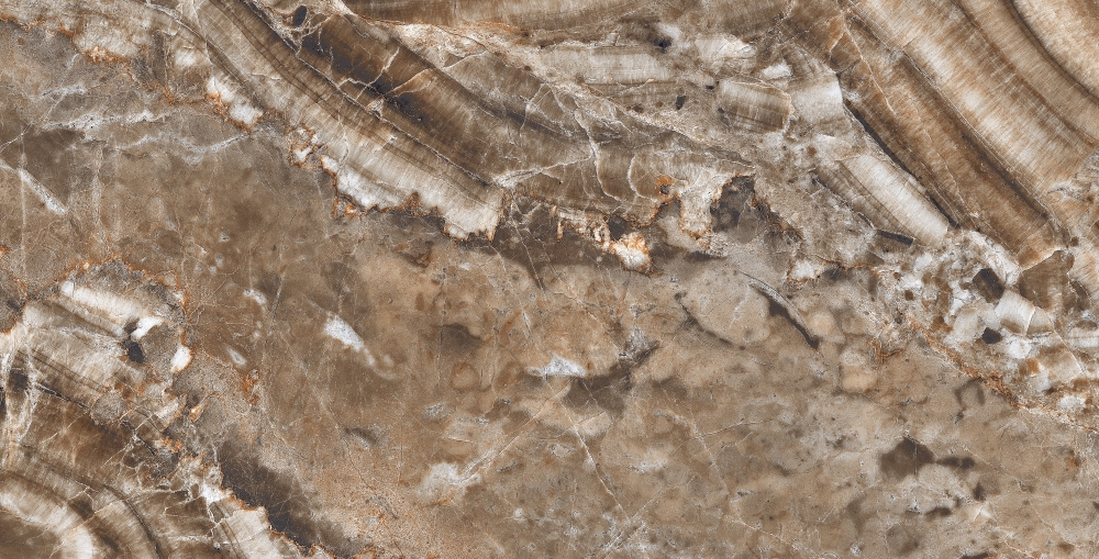 QORTECIA BROWN HG POL (1 сорт)