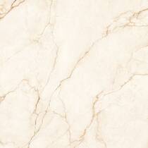 Керамограніт Almera Ceramica Ec.Alberi Crema 120х120 см, фото №6