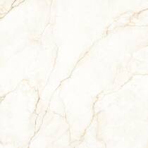 Керамограніт Almera Ceramica Ec.Alberi Blanco 120х120 см, фото №6