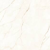 Керамограніт Almera Ceramica Ec.Alberi Blanco 120х120 см, фото №4