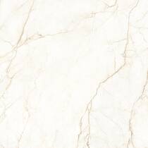 Керамограніт Almera Ceramica Ec.Alberi Blanco 120х120 см, фото №5