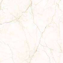 Керамограніт Almera Ceramica Ec.Alberi Blanco 120х120 см, фото №3