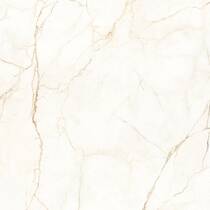Керамограніт Almera Ceramica Ec.Alberi Blanco 120х120 см, фото №2