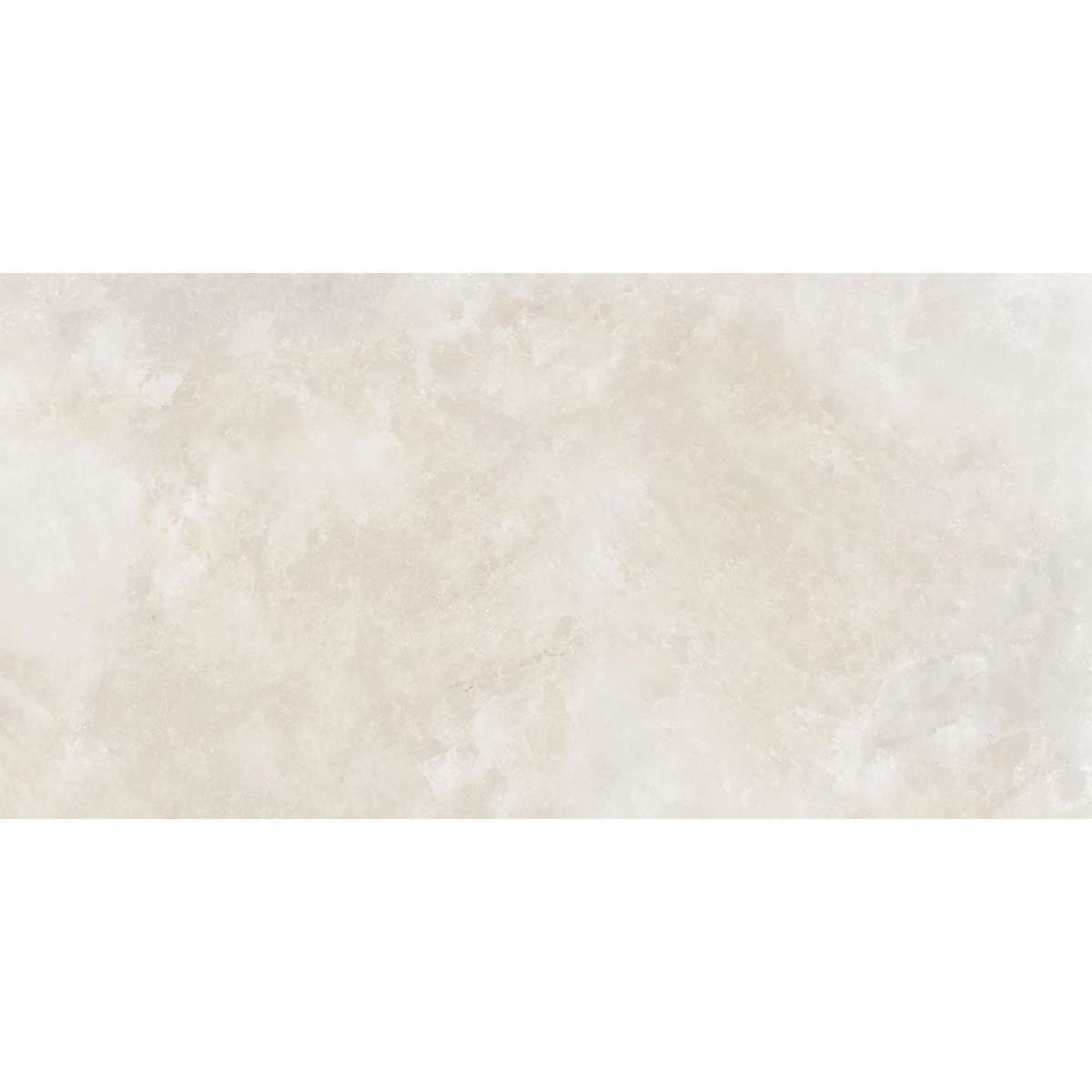 LIVID IVORY (1 сорт)