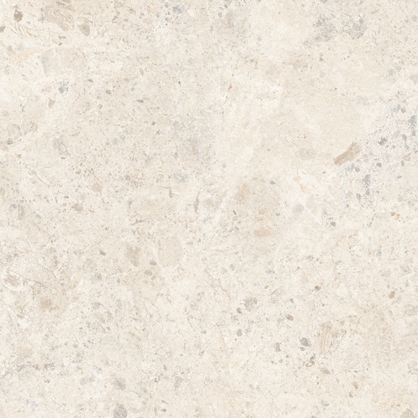 EC.AMBROSSIA WHITE (1 сорт)