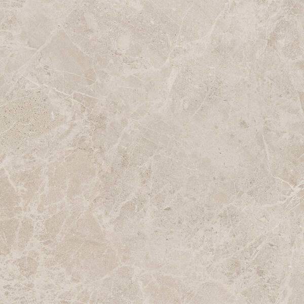 100388443 BRESCIA BONE L 120X120(A) — фото 3