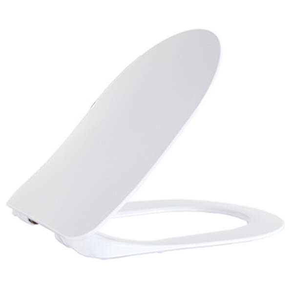 FE322-34CB00E-0002  FREE Унітаз-біде підвісний з кришкою Soft Closing , інтегрованим змішувачем, безобідковий, білий — фото 4