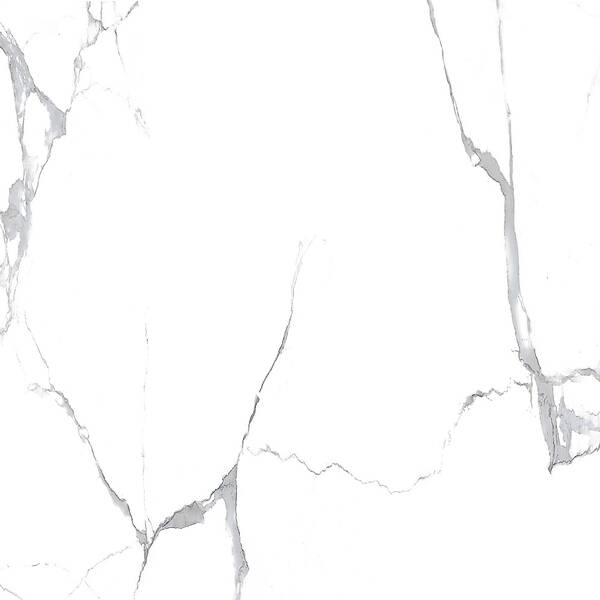 HIMALAYA WHITE ### — фото 4