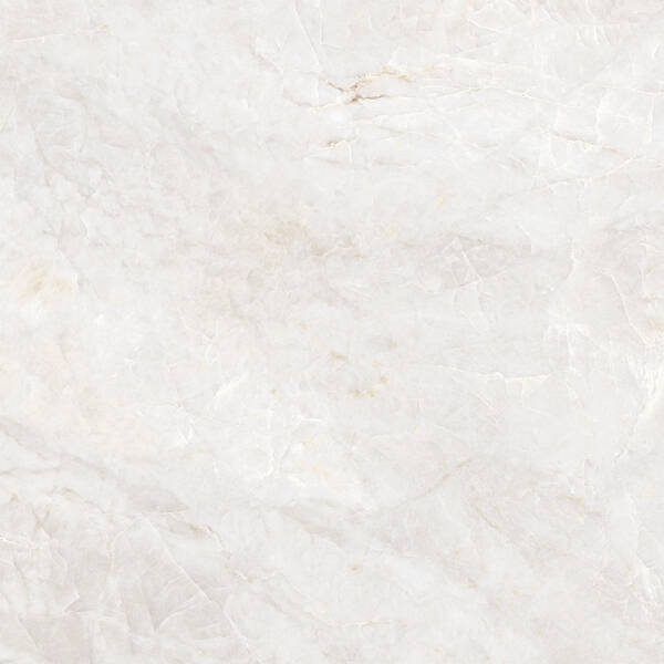 P CAESARS WHITE SIL 8 R PRI. — фото 2